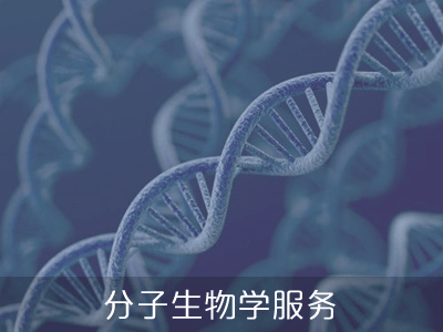 分子生物学服务