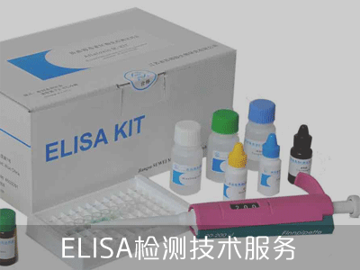 ELISA检测技术服务