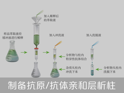 重组蛋白定制服务