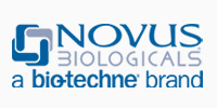 Novus