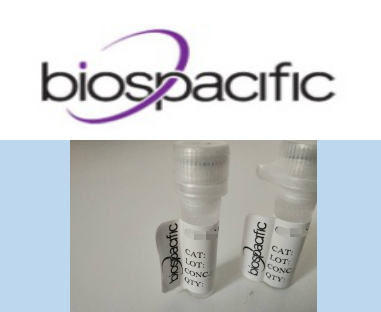 Pepsinogen II (PG II) Antibody