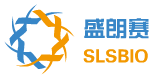 盛朗赛